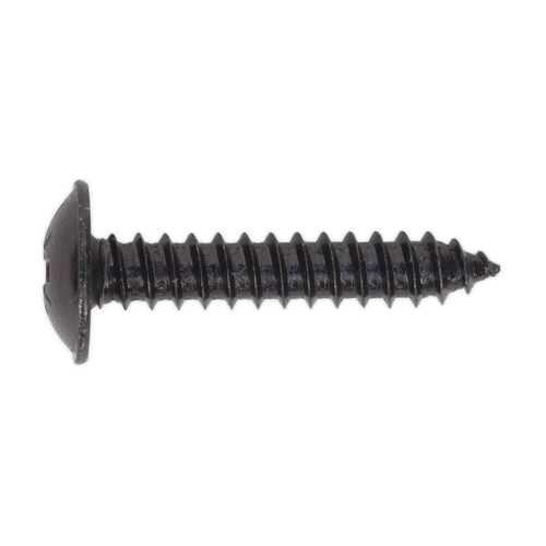 Self Tapping Screw 4.8 x 25mm Flanged Head Black Pozi Pack of 100 (BST4825)