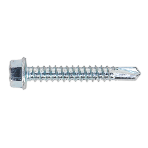 Self Drilling Screw 5.5 x 38mm Hex Head Zinc Pack of 100 (SDHX5538)