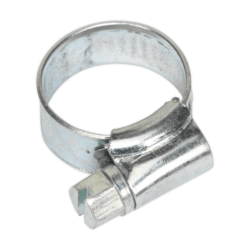 Hose Clip Zinc Plated ¯13-19mm Pack of 30 (SHC00)