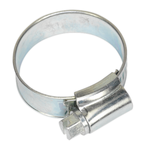 Hose Clip Zinc Plated ¯22-32mm Pack of 20 (SHC1)