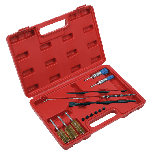Cleaning Brush Set Injector Bore 14pc (VS1900)