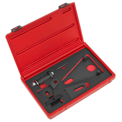 Front Pulley & Flywheel Locking Tool Set (VSE5032)