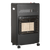 Cabinet Gas Heater 4.2kW (CH4200)