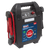 RoadStart¨ Emergency Jump Starter 12V 3.5L 6-Cylinder (RS102B)