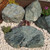 Classic Green Forest Rockery Stone 300mm