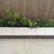Single Bullnose Sahara Beige Egyptian Limestone Coping 600 x 300 x 30mm