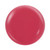 OG 138 - NOTPOLISH 2 in 1 "OG" Powder Collection ACRYLIC POWDERS