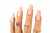 OG 183 - NOTPOLISH 2 in 1 "OG" Powder Collection ACRYLIC POWDERS