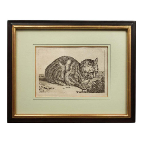 "The Large Cat", engraving on paper | Francois Vivares after Cornelis Visscher