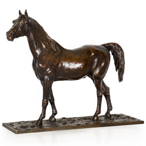 "Rainbow - Cheval Arabe" | Christophe Fratin