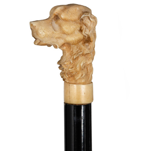 Victorian Carved Dog Head Walking Cane