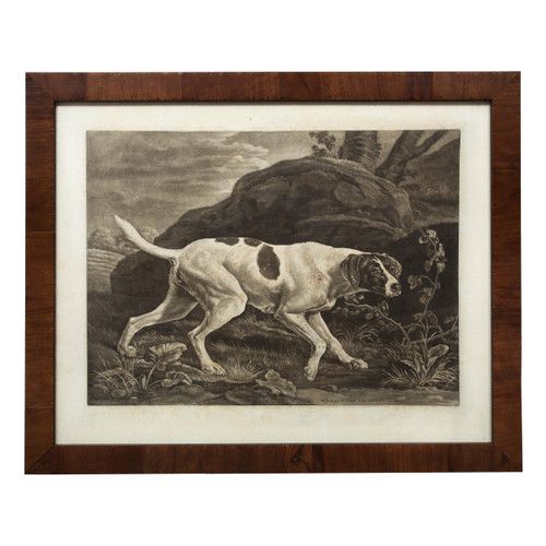 "Phillis, A Pointer of Lord Clermont's" | Engraving on Paper after George Stubbs