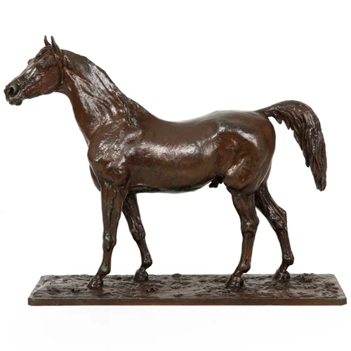 "Rinbow - Cheval Arabe" | Christophe Fratin