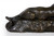 “Panther of Tunisia”, bronze | after Antoine-Louis Barye, Barbedienne