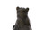 “Panther of Tunisia”, bronze | after Antoine-Louis Barye, Barbedienne