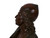 "Bust of a Gallic Warrior", bronze sculpture | Albert Froger 