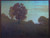 "Autumn Trees on a Hillside", oil painting | Clark Summers Marshall
