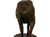 "A Shorn Ewe", bronze sculpture | Pierre-Albert Laplanche