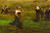 Workers Harvesting in a Field | Olof Hermelin