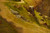 "Valley of the Rocks, Lynton" | Edward Henry Holder