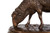 “Mouton Broutant” | Rosa Bonheur