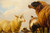 Sheep & Goats in a Landscape (1859) | Eugene Verboeckhoven