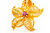 14K Yellow Gold & Gemstone Starfish Earrings