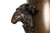 Bronze Goat Form Tri-Footed Lamp | Circa 1880
