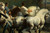 19th Century Copy of Rosa Bonheur's "The Horse Fair"