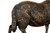 "Standing Ram" | Isidore Bonheur