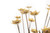 Kinetic Sculpture of Flowers and a Bee