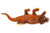 Carved Tropical Hardwood Crocodile