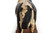 Whimsical Folk Art Carved Holstein Pull Toy