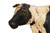 Whimsical Folk Art Carved Holstein Pull Toy