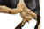 Whimsical Folk Art Carved Holstein Pull Toy