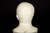 Library Bust of Marcus Tullius Cicero | Italian, 19th Century