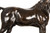"Ibrahim - Arabian Stallion" | Pierre-Jules Mene