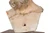 Italian Polychromed Terracotta Bust of a Saint