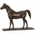 "Rinbow - Cheval Arabe" | Christophe Fratin