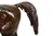 "Rinbow - Cheval Arabe" | Christophe Fratin