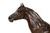 "Rinbow - Cheval Arabe" | Christophe Fratin