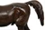 "Rinbow - Cheval Arabe" | Christophe Fratin