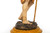 Polychromed Carved "St. John the Baptist" | Northern Europe