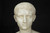 Young Caesar Augustus | Grand Tour