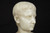 Young Caesar Augustus | Grand Tour