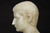 Young Caesar Augustus | Grand Tour