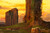 "Roman Campagna at Sunset" | Hermann Corrodi