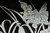 Pair of Art Deco Revival Etched Glass Doors | Dennis Abbe