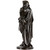 "Vercingétorix" by Aime Millet (French, 1819-91) in Bronze