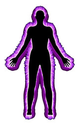 BIOLOGICAL AND HEALTH EFFECTS OF MICROWAVE RADIO FREQUENCY TRANSMISSIONS